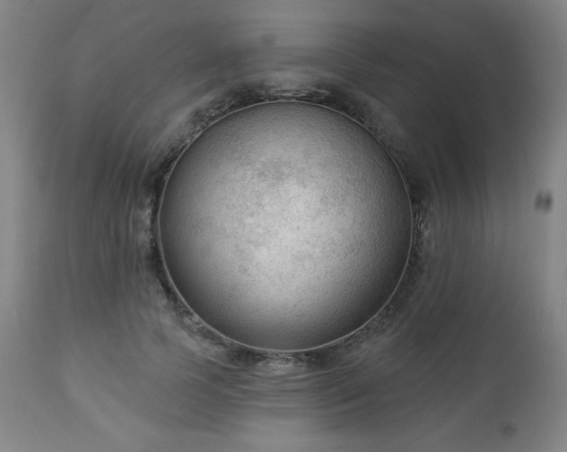 X0000112960745200909031021