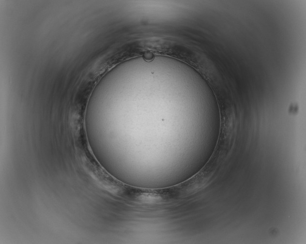 X0000112960749200909031021