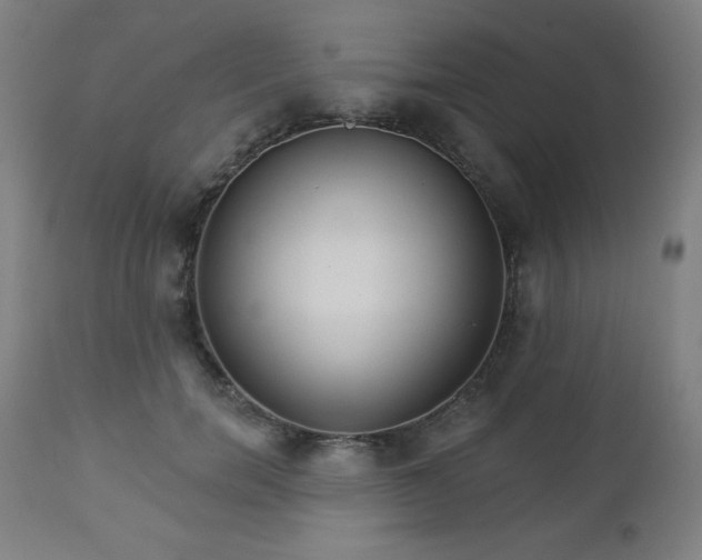 X0000112960750200909031021