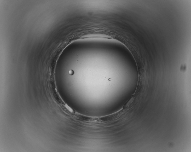 X0000112960752200909031021