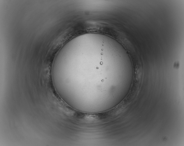 X0000112960753200909031021