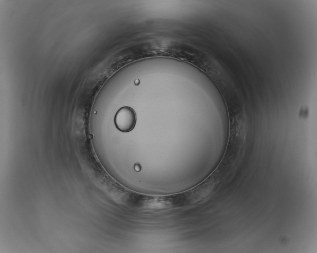 X0000112960754200909031021