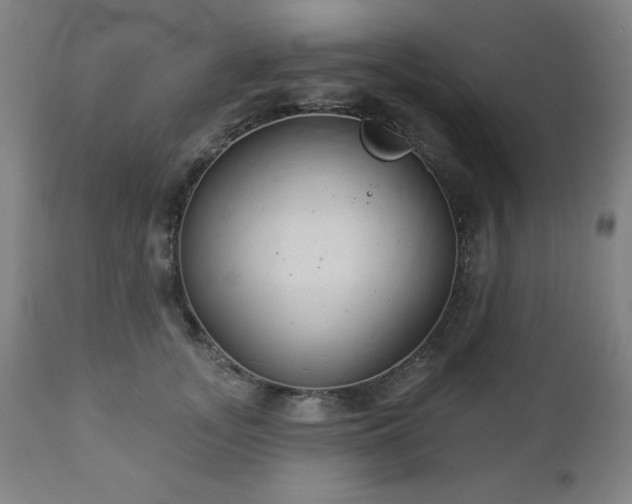 X0000112960755200909031021