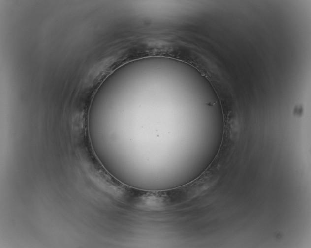 X0000112960756200909031021