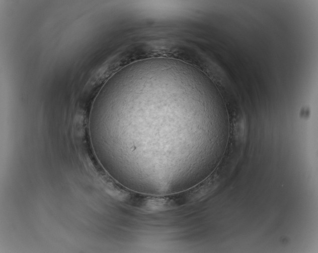 X0000112960757200909031021