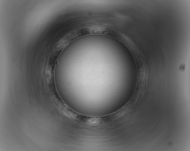 X0000112960761200909031021