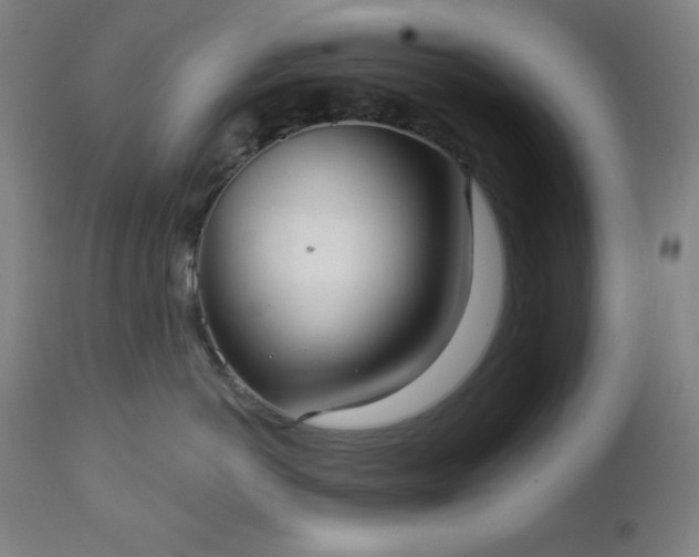 X0000112960766200909031021