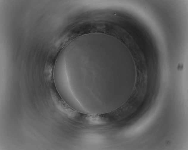 X0000112960767200909031021