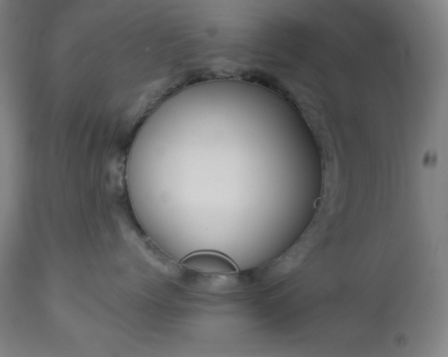 X0000112960768200909031021