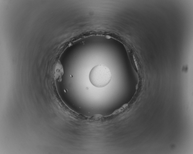 X0000112960769200909031021