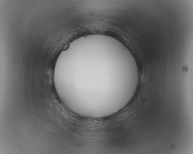 X0000112960772200909031021