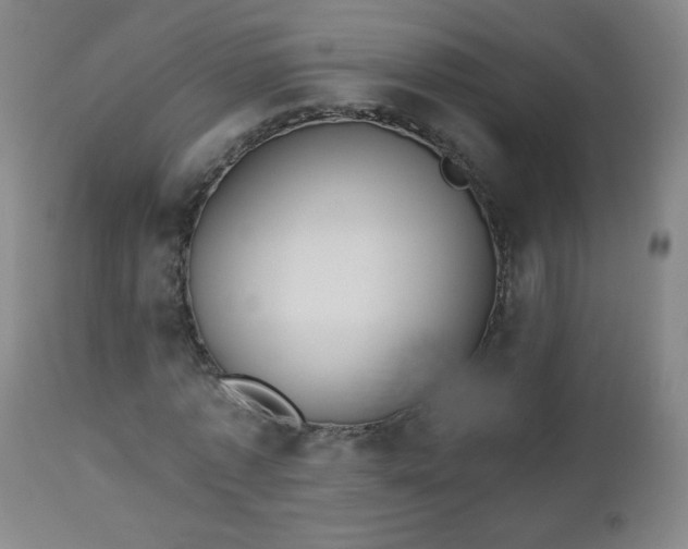 X0000112960773200909031021