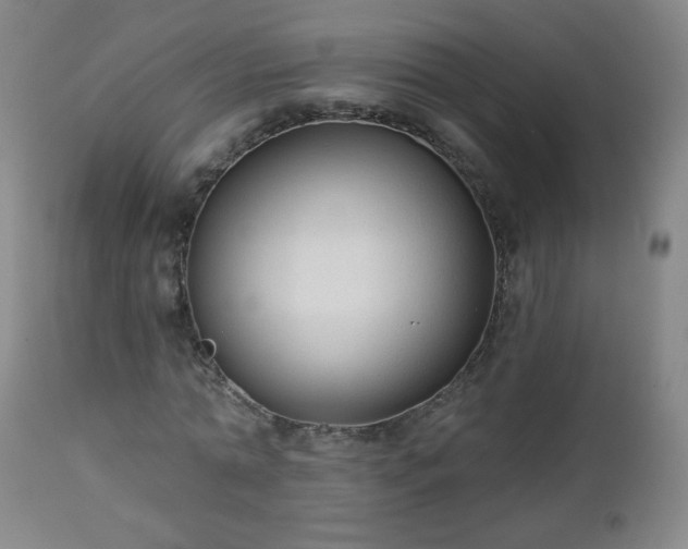 X0000112960774200909031020