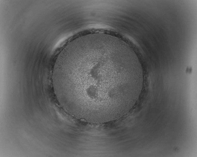 X0000112960775200909031020