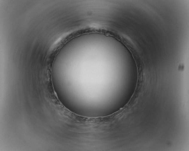 X0000112960776200909031020