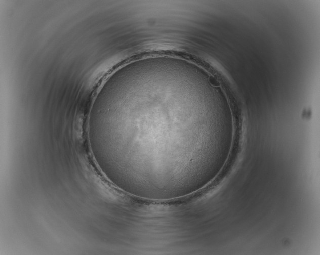 X0000112960777200909031020