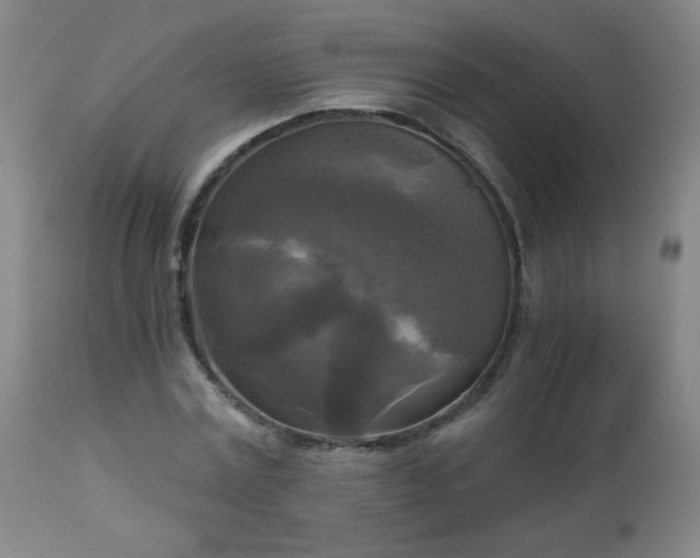 X0000112960779200909031020