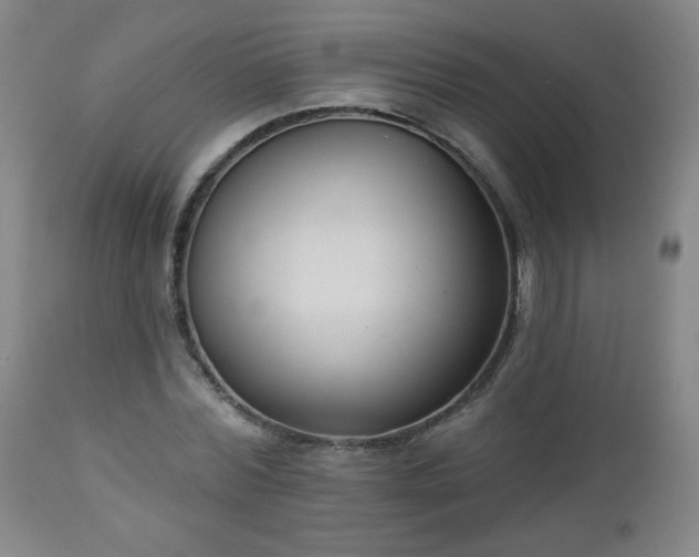 X0000112960780200909031020