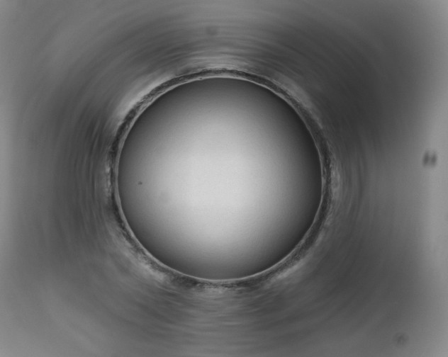 X0000112960782200909031020