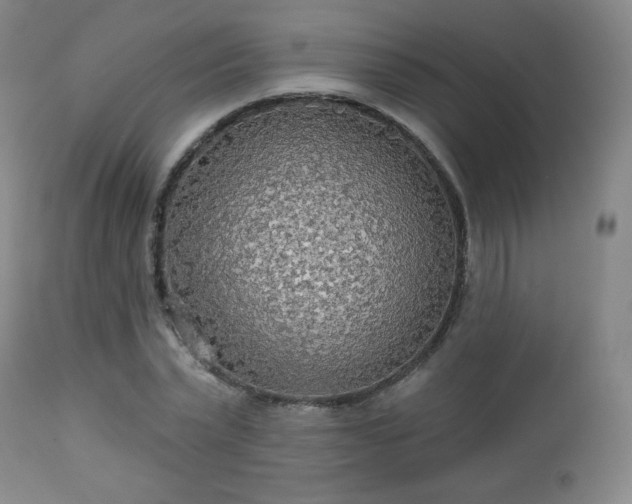 X0000112960783200909031020