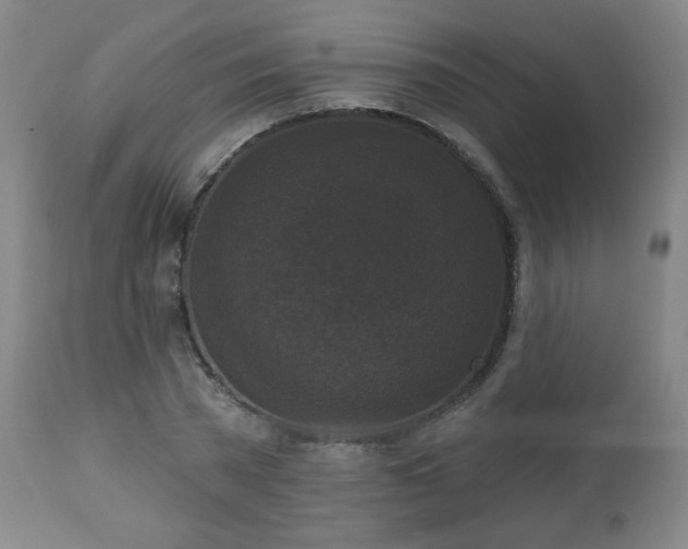 X0000112960785200909031020