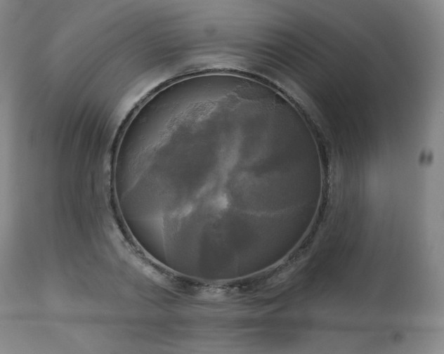 X0000112960790200909031020