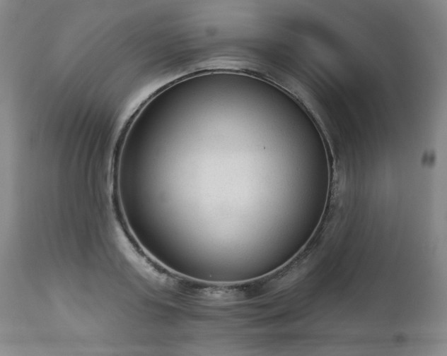 X0000112960795200909031020