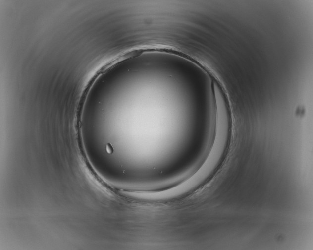 X0000112960797200909031020