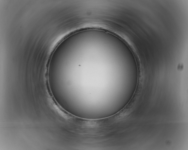 X0000112960799200909031020