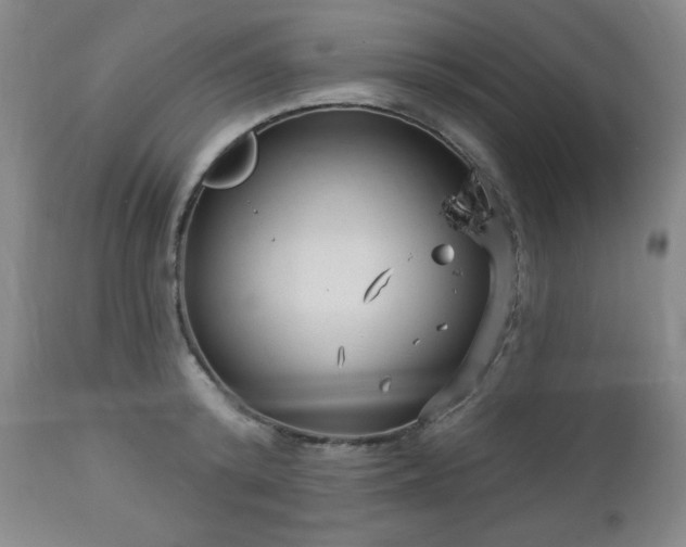 X0000112960800200909031020