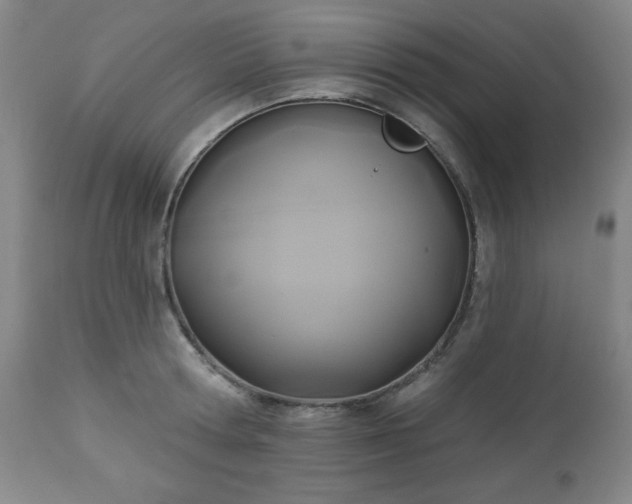 X0000112960802200909031020