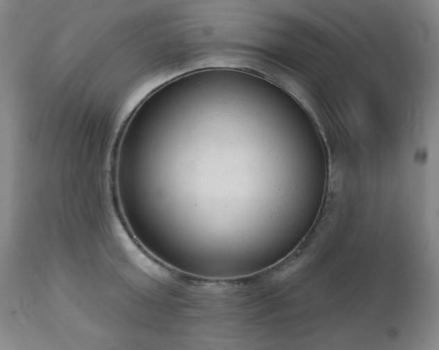 X0000112960803200909031020