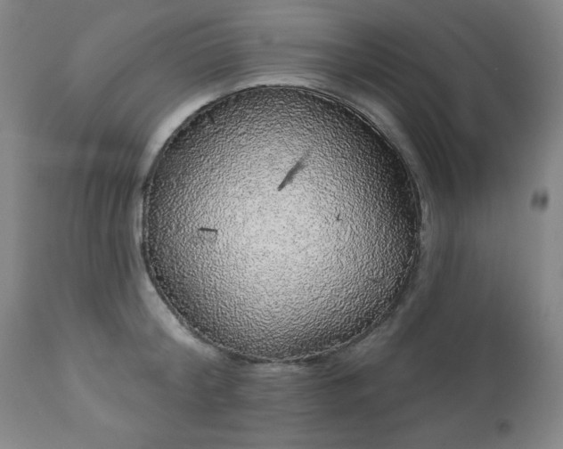 X0000112960804200909031020