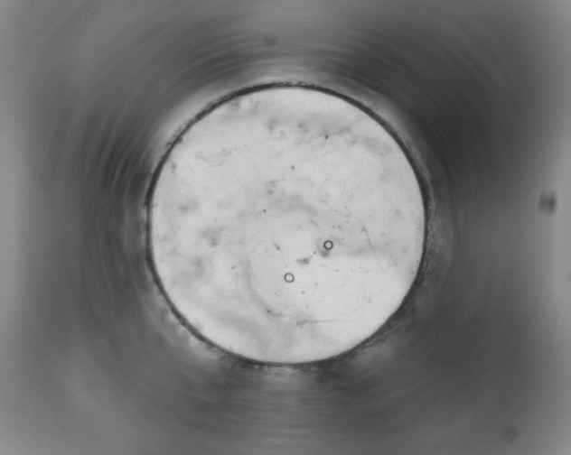 X0000112960807200909031020