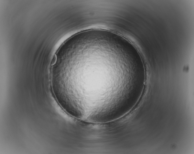 X0000112960808200909031020