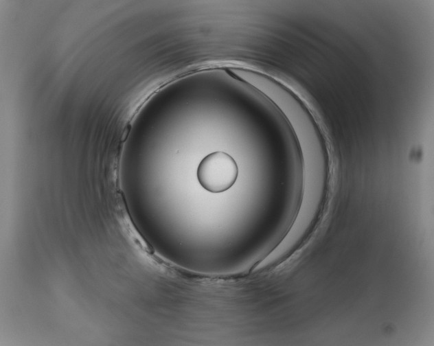 X0000112960809200909031020