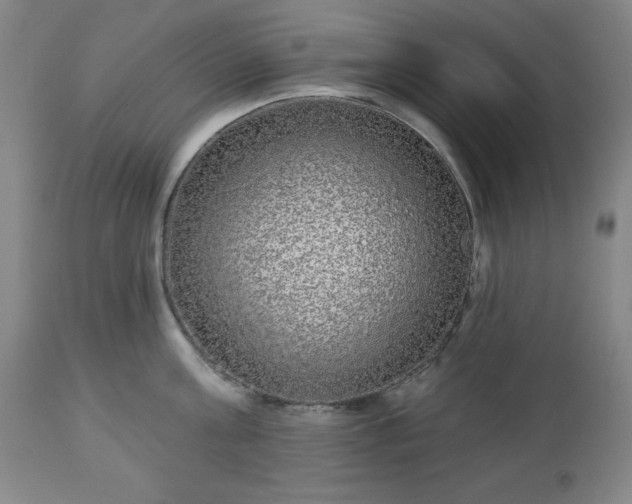 X0000112960811200909031020