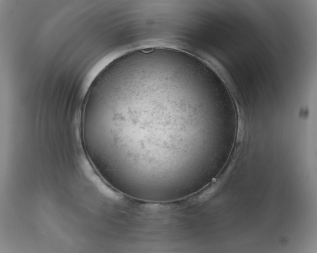 X0000112960812200909031020