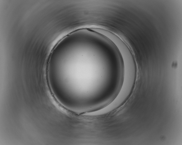 X0000112960813200909031020