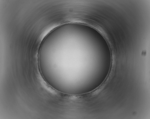 X0000112960814200909031020