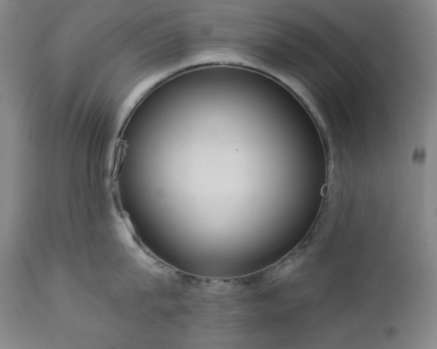 X0000112960815200909031020