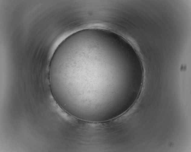 X0000112960816200909031020