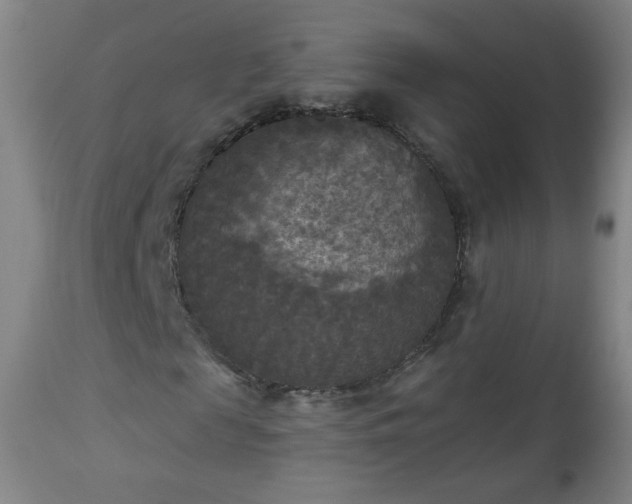 X0000112960817200909031019