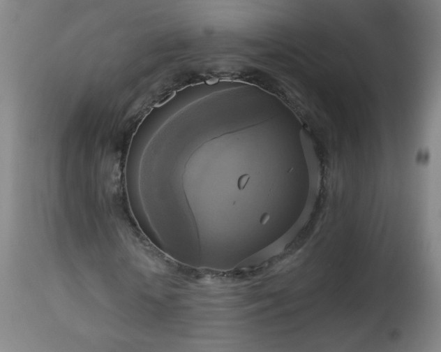 X0000112960818200909031019