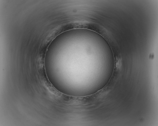 X0000112960819200909031019