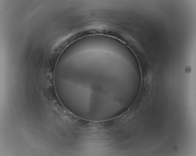 X0000112960822200909031019