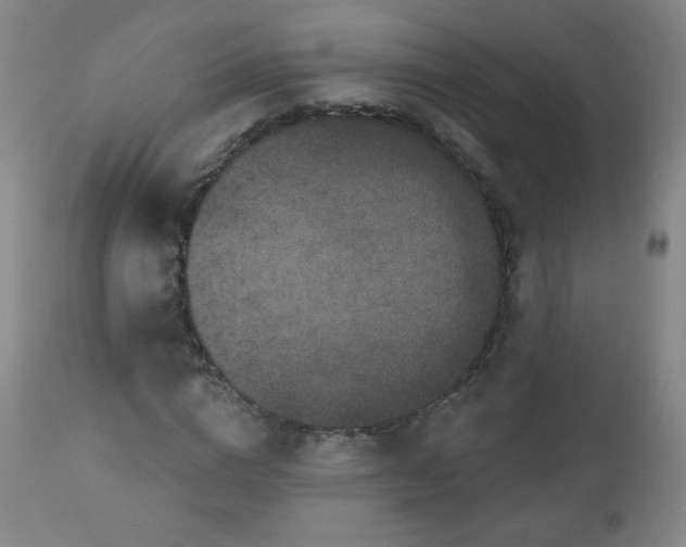 X0000112960824200909031019