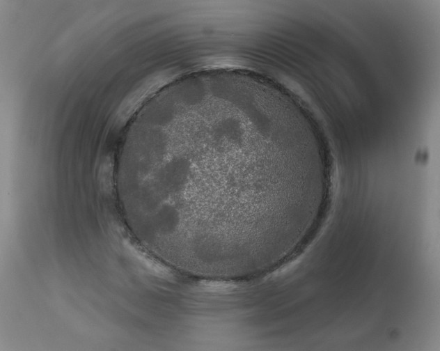 X0000112960825200909031019