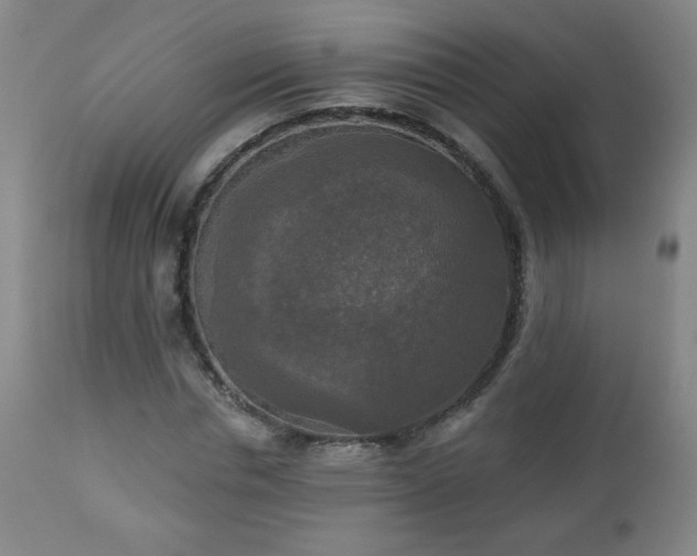 X0000112960826200909031019