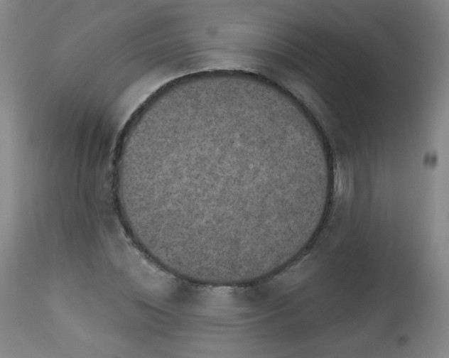 X0000112960828200909031019